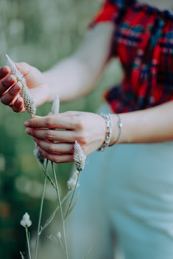 Person Holding a Green-petaled Flower