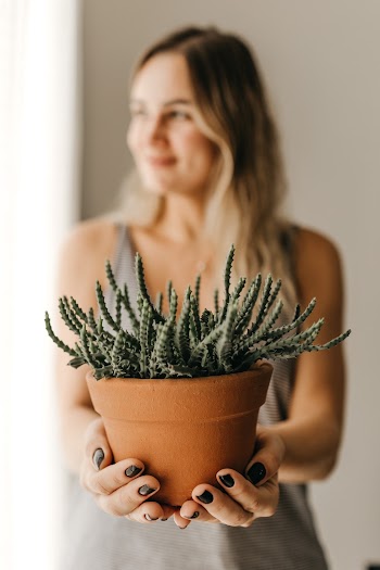 Person Holding A Plant