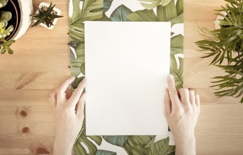 Person Holding a White Paper