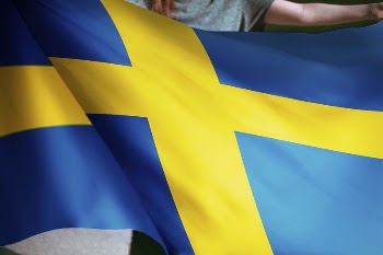Person holding an Swedish flag | Free Photo - rawpixel