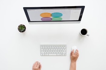 person holding Apple Magic Mouse