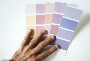 Person Holding Assorted Color Swatches