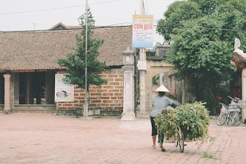 Person Holding Bicycle With Plant