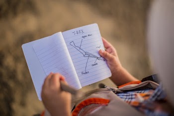 Person Holding Black Lined Paper