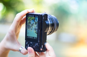 Person Holding Black Point-and-shoot Camera