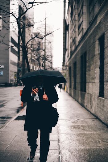 person holding black umbrella and walking in the street