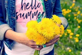 Person Holding Blooming Yellow Daisy Flowers