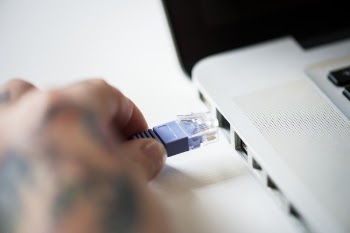 Person Holding Blue Cable Connector