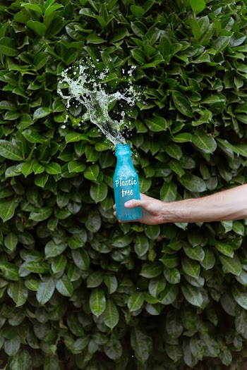 Person Holding Blue Plastic Bottle Splashing Water on Green Leaves