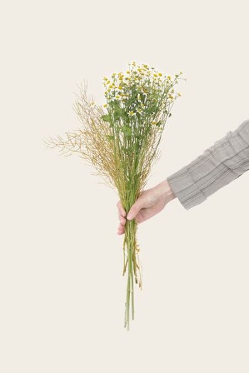 person holding bouquet of daisy flowers