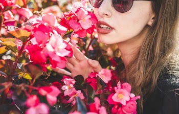 person holding bouquet of flowers