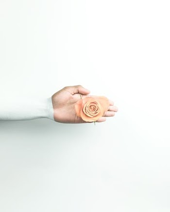 person holding brown flower