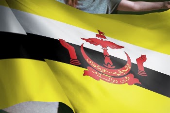 Person holding Brunei flag background, | Free Photo - rawpixel