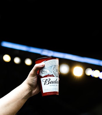 Person Holding Budweiser Cup