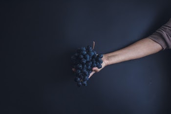 Person Holding Bunch of Grapes