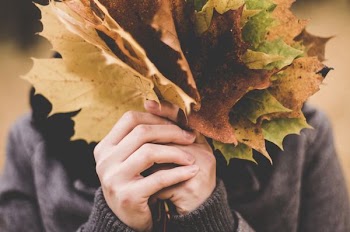 person holding bundle of autumn maple leaves