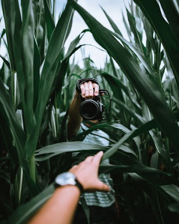 Person Holding Camera