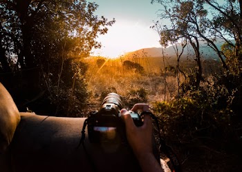 Person Holding Camera Leaning on Wood Plank
