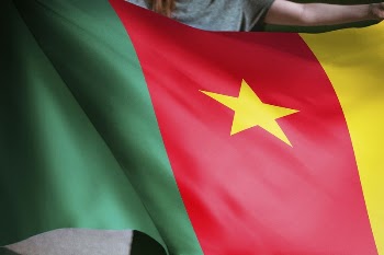 Person holding Cameroon flag background, | Free Photo - rawpixel