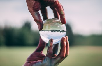 Person Holding Clear Ball in Shallow Focus Photography