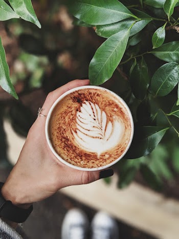 Person Holding Coffee Cup