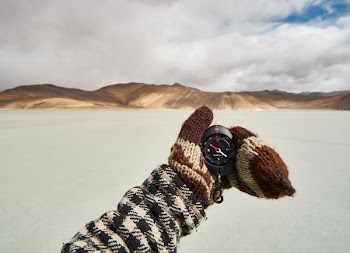 person holding compass