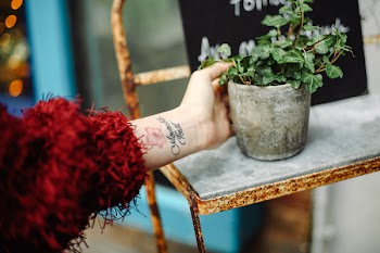 Person Holding Concrete Pot With Plant