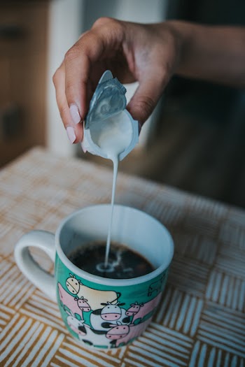 Person Holding Creamer