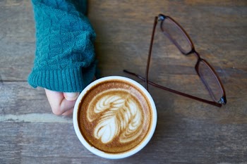 Person Holding Cup of Latte Leaf Art