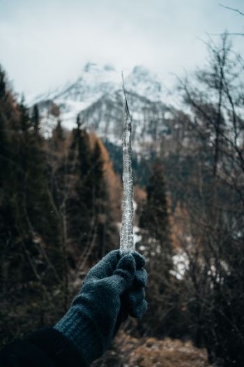 person holding dried branch