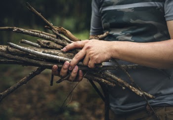 Person Holding Driftwood