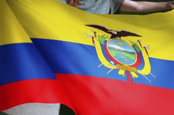 Person holding Ecuador flag background, | Free Photo - rawpixel