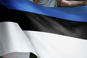 Person holding Estonia flag background, | Free Photo - rawpixel