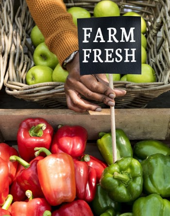 Person Holding Farm Fresh Label next to Bell Peppers