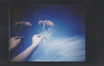 Person Holding Flower