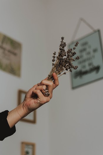Person Holding Flowers