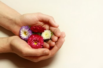 Person Holding Four Assorted Flowers