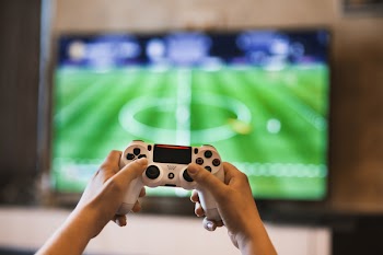 Person Holding Game Pads 
