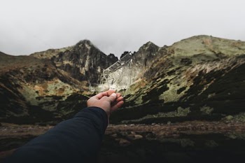 person holding glass