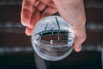 Person Holding Glass Ball