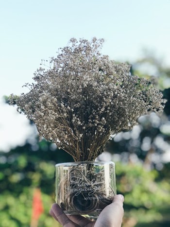 Person Holding Glass of Flowers