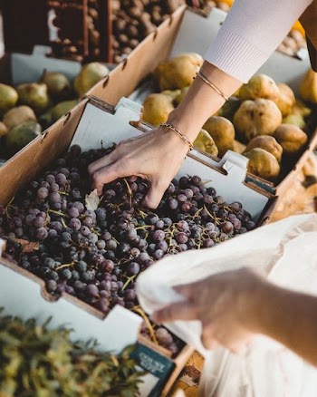 person holding grapes