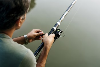 Person Holding Gray and Black Fishing Rod