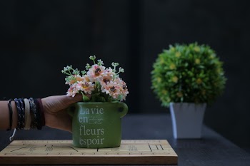 Person Holding Green Ceramic Pot