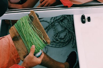 Person Holding Green Thread