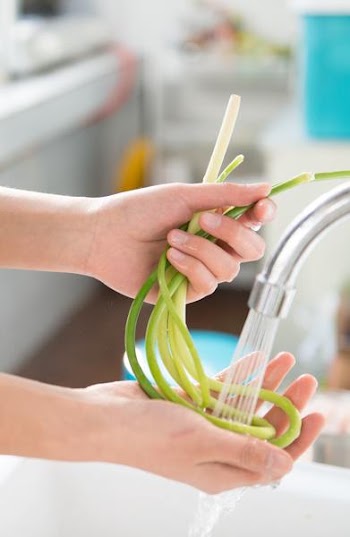 Person Holding Green Vegetable