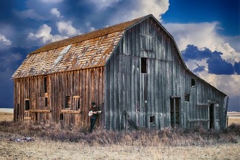 Person Holding Guitar While Leaning on Barn