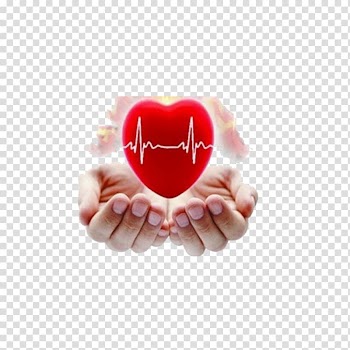 Person holding heart illustration, Ayurveda Therapy Basti Clinic Cardiology, Cartoon coronary heart disease transparent background PNG clipart