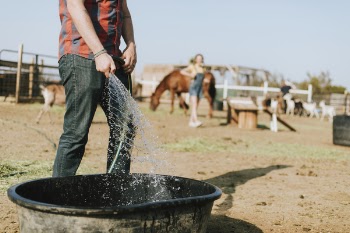 Person Holding Hose