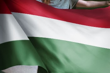 Person holding Hungarian flag background, | Free Photo - rawpixel